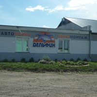 Сто корона карасук