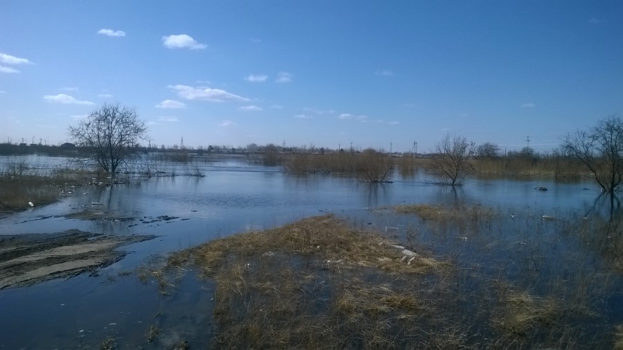 Река Карасук разливается...2034