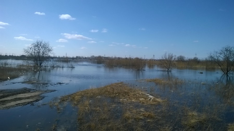 Река Карасук разливается...2035