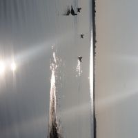 Оз.Благодатное482