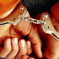 В Карасуке по «горячим следам» раскрыто тяжкое преступление