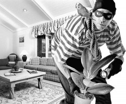 В Карасуке полицейскими раскрыта квартирная кража