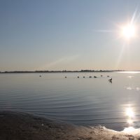 Оз.Благодатное483