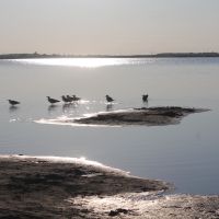 Оз.Благодатное481